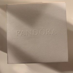 New Pandora Charm bracelet